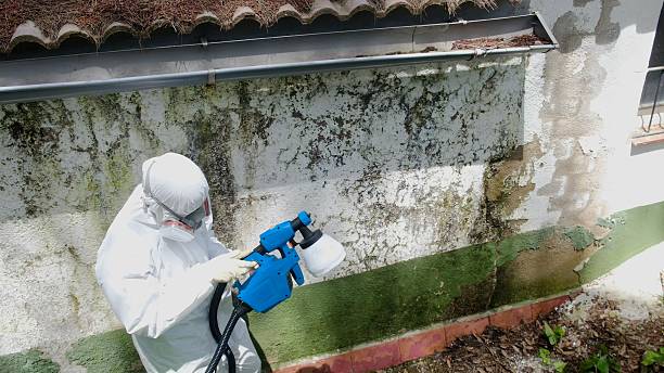 Top rated local Commercial Mold Remediation specialists in Drayden, MD